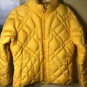 Winter Jacket